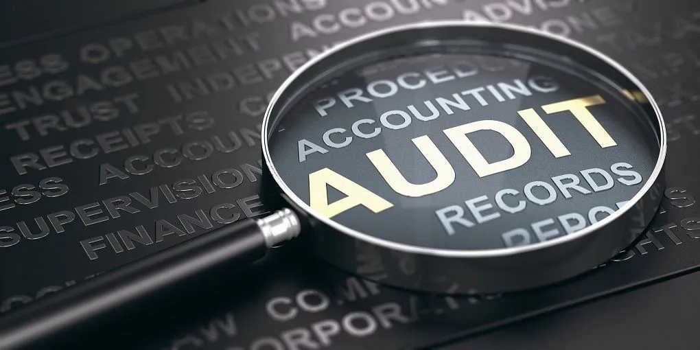 Introduction to Audit